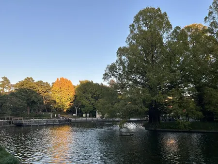 池の景色