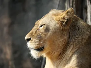 大阪・神戸 1日目 | 天王寺動物園